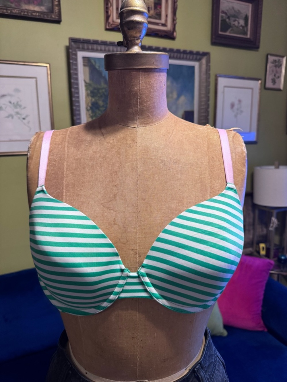 Striped Green & White T-Shirt Bra with Pink Straps